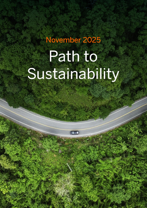 11-path-to-sustainability