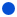 Blue bullet
