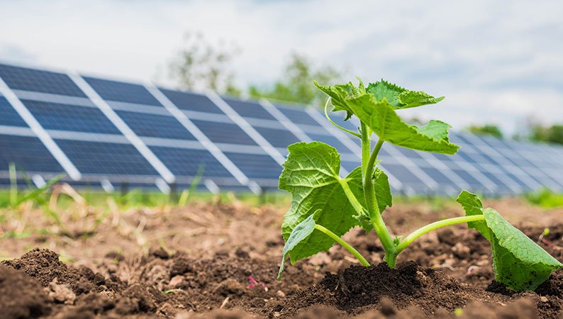 Green-technology_01